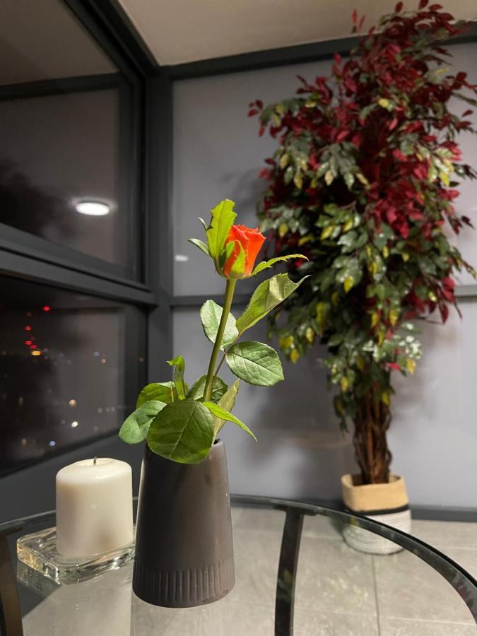 크라쿠프 Vistula Terraces 10Th Floor 아파트 외부 사진